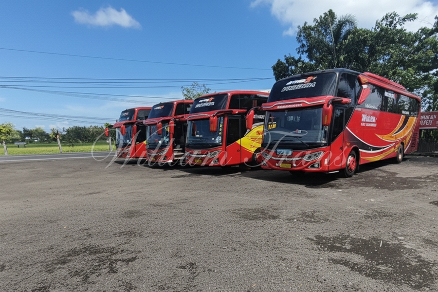 Epik Lintas Jawa Bali: Sewa 4 Unit Big Bus William Trans (48 Seats) untuk Perjalanan Rombongan Megah Anda!