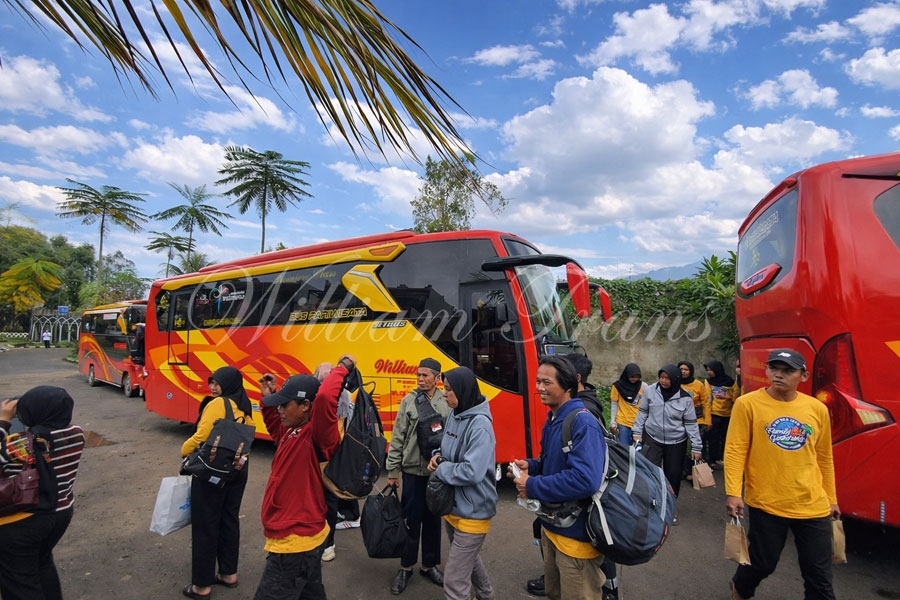 Menikmati Sejuknya Bogor dengan Kenyamanan Maksimal Bersama William Trans